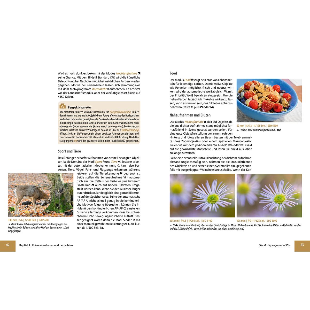 Beispielinhalt (Bild) Nikon Z50 II: Das umfangreiche Praxisbuch zu Ihrer Kamera