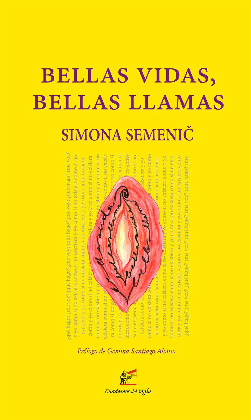 Beispielinhalt (Bild) Bellas vidas, bellas llamas