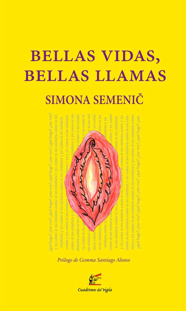Vorderes Coverbild Bellas vidas, bellas llamas