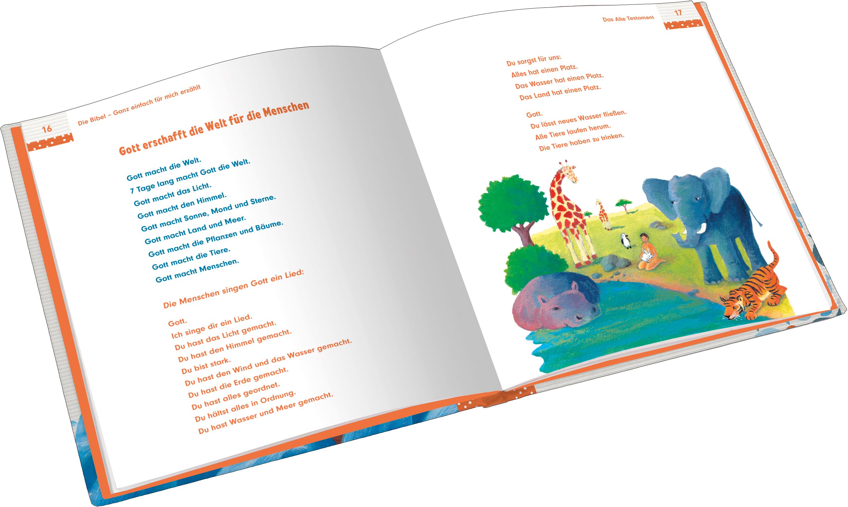 Beispielinhalt (Bild) Die Bibel