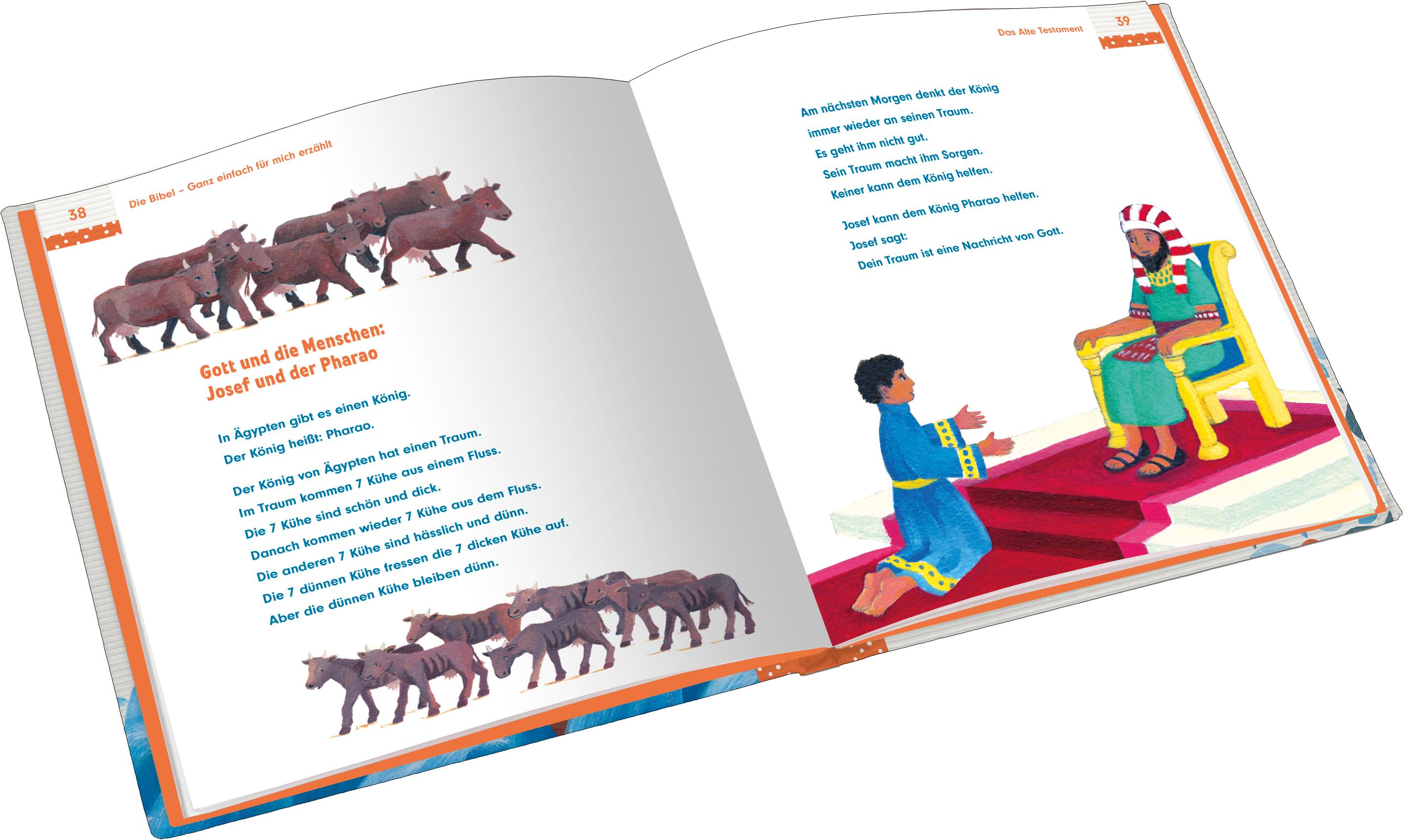 Beispielinhalt (Bild) Die Bibel
