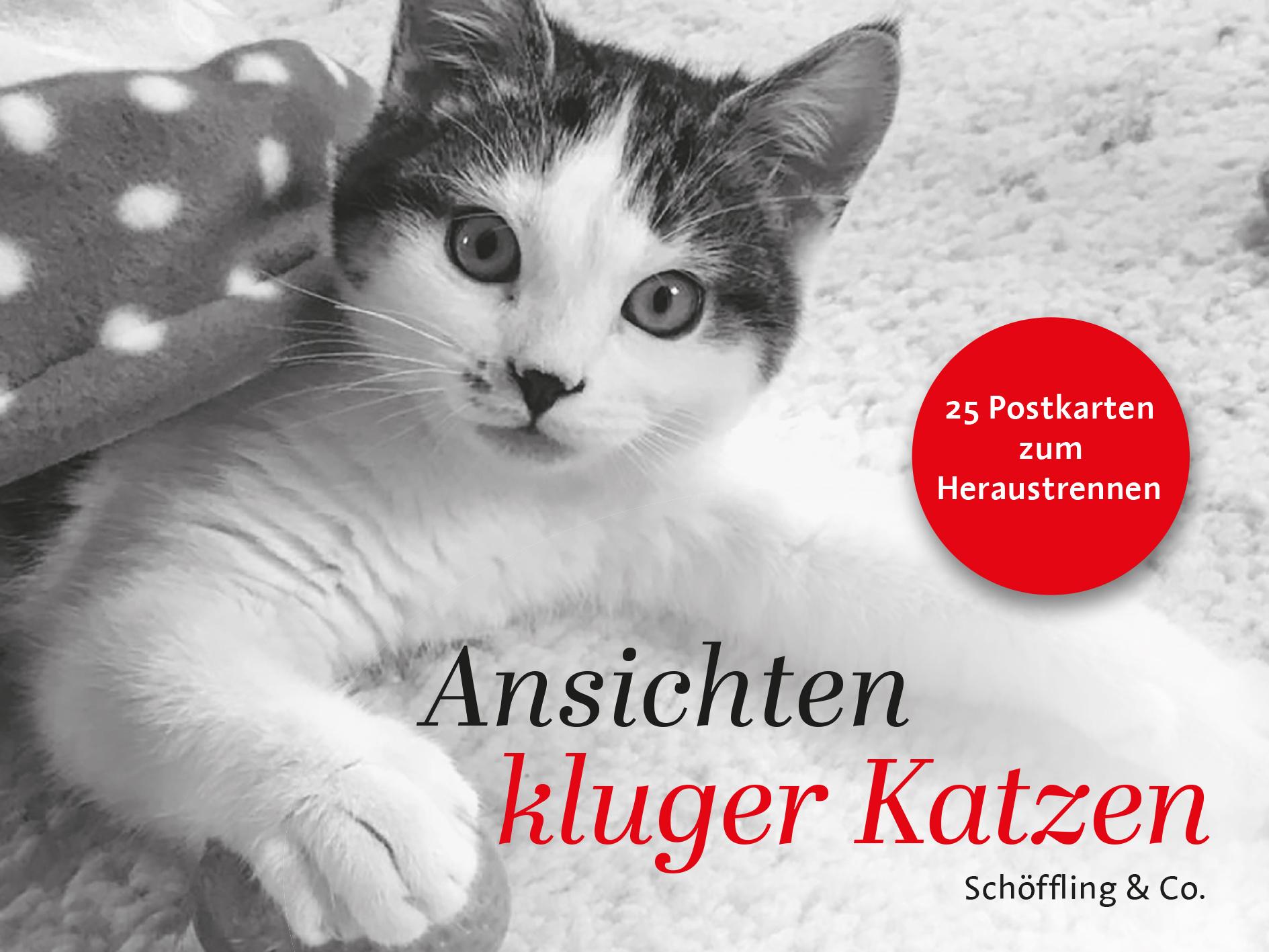 Vorderes Coverbild Ansichten kluger Katzen