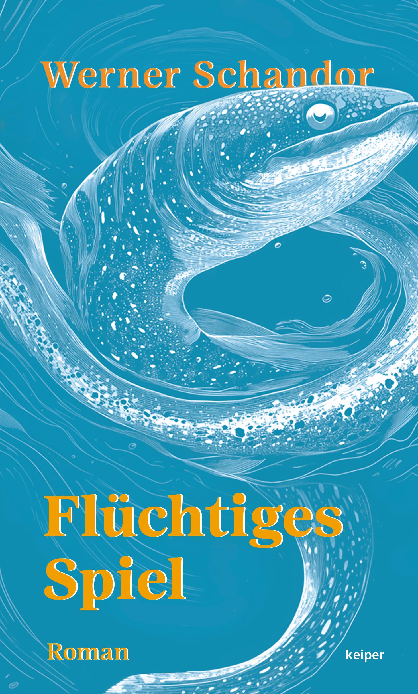 Vorderes Coverbild Flüchtiges Spiel