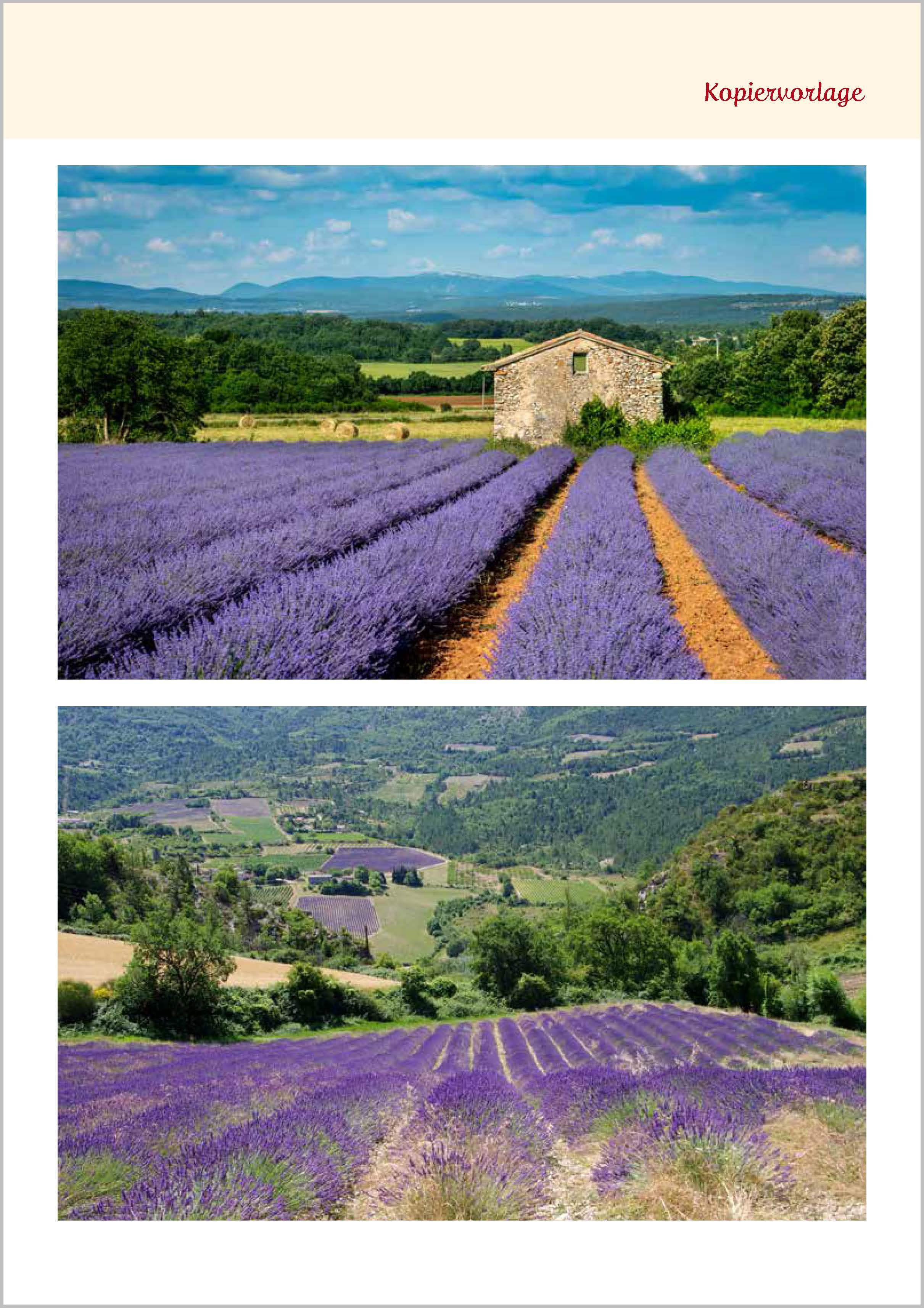 Beispielinhalt (Bild) Aktivieren ohne Action