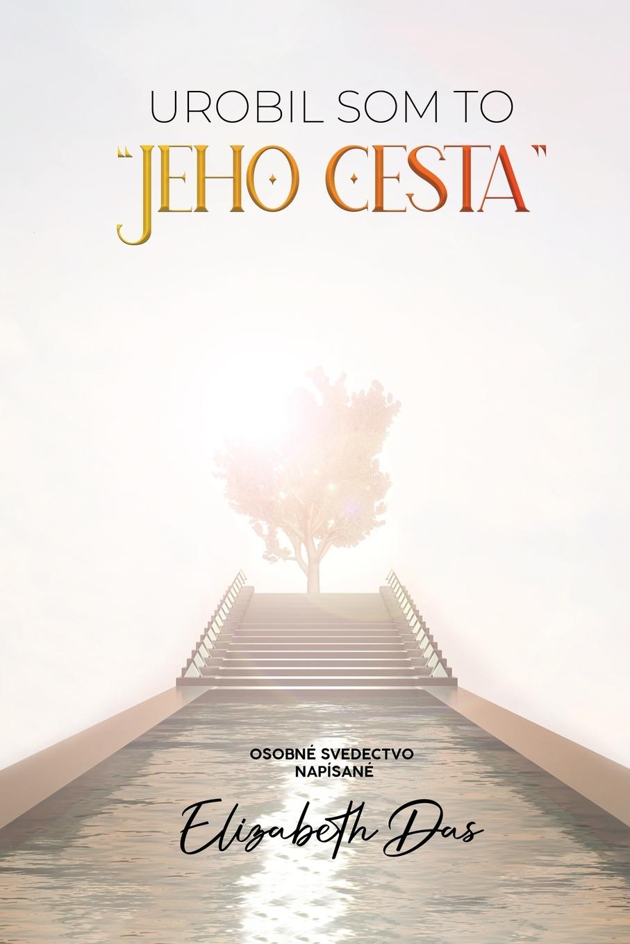 Vorderes Coverbild Urobil som to "Jeho cesta" Slovak