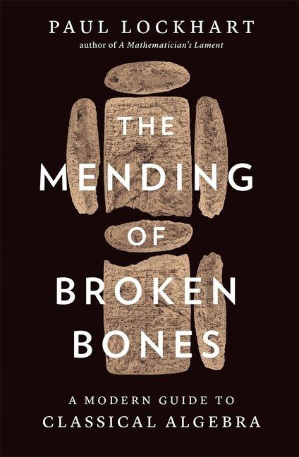 Vorderes Coverbild The Mending of Broken Bones