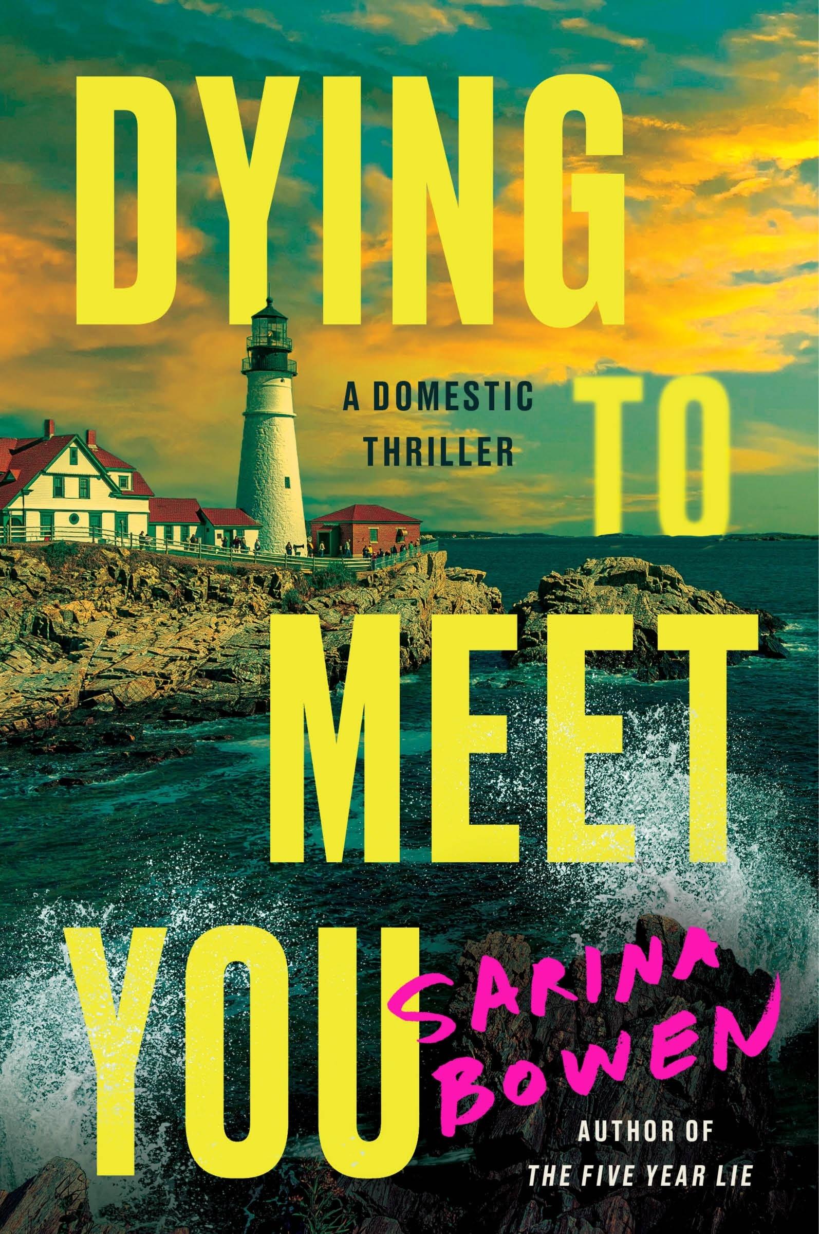 Vorderes Coverbild Dying to Meet You