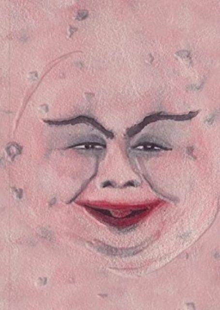 Vorderes Coverbild PINK MOON (SPECIAL EDITION) Marcel Dzama, Sufjan Stevens, Hannah Peel