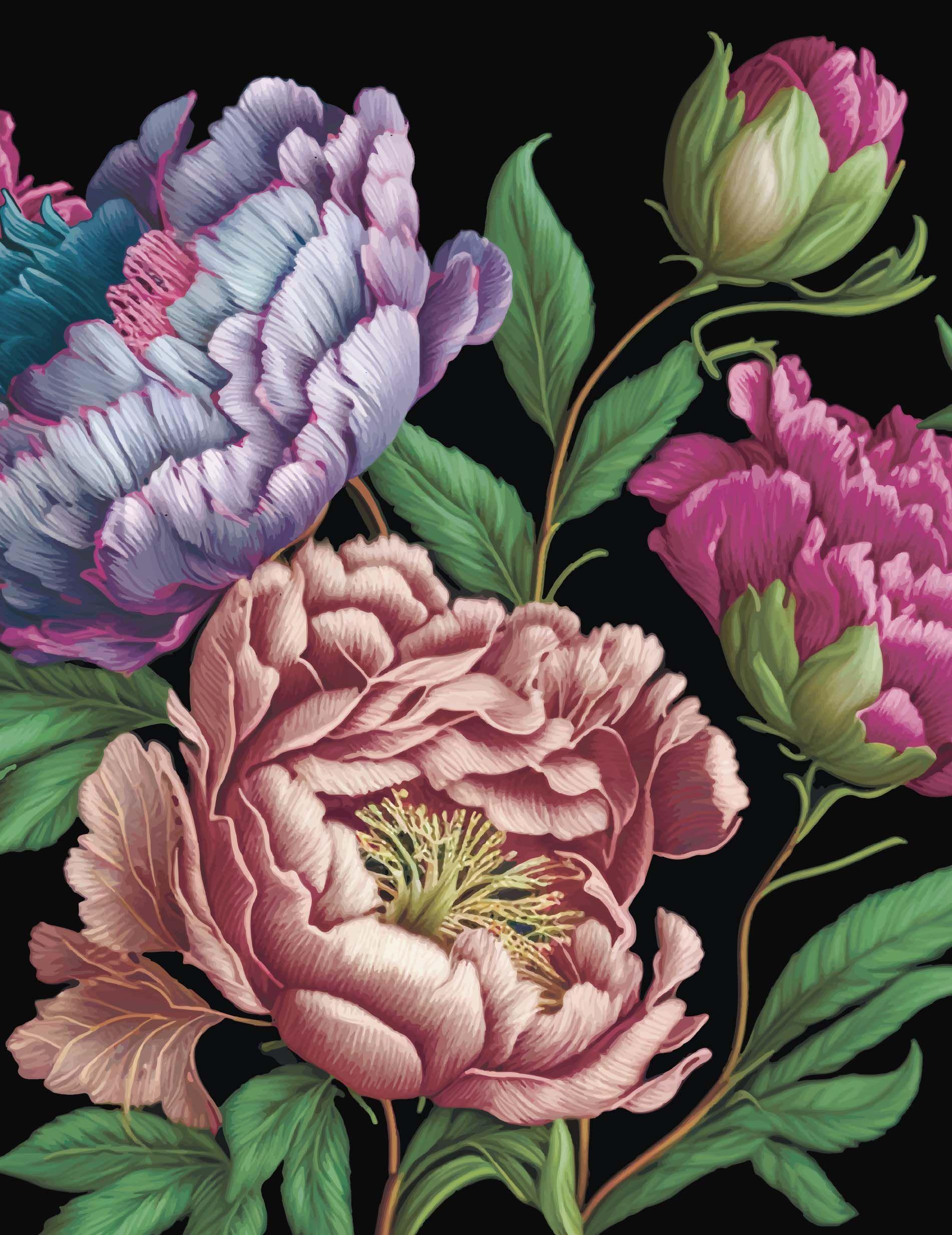 Vorderes Coverbild Peonies Journal