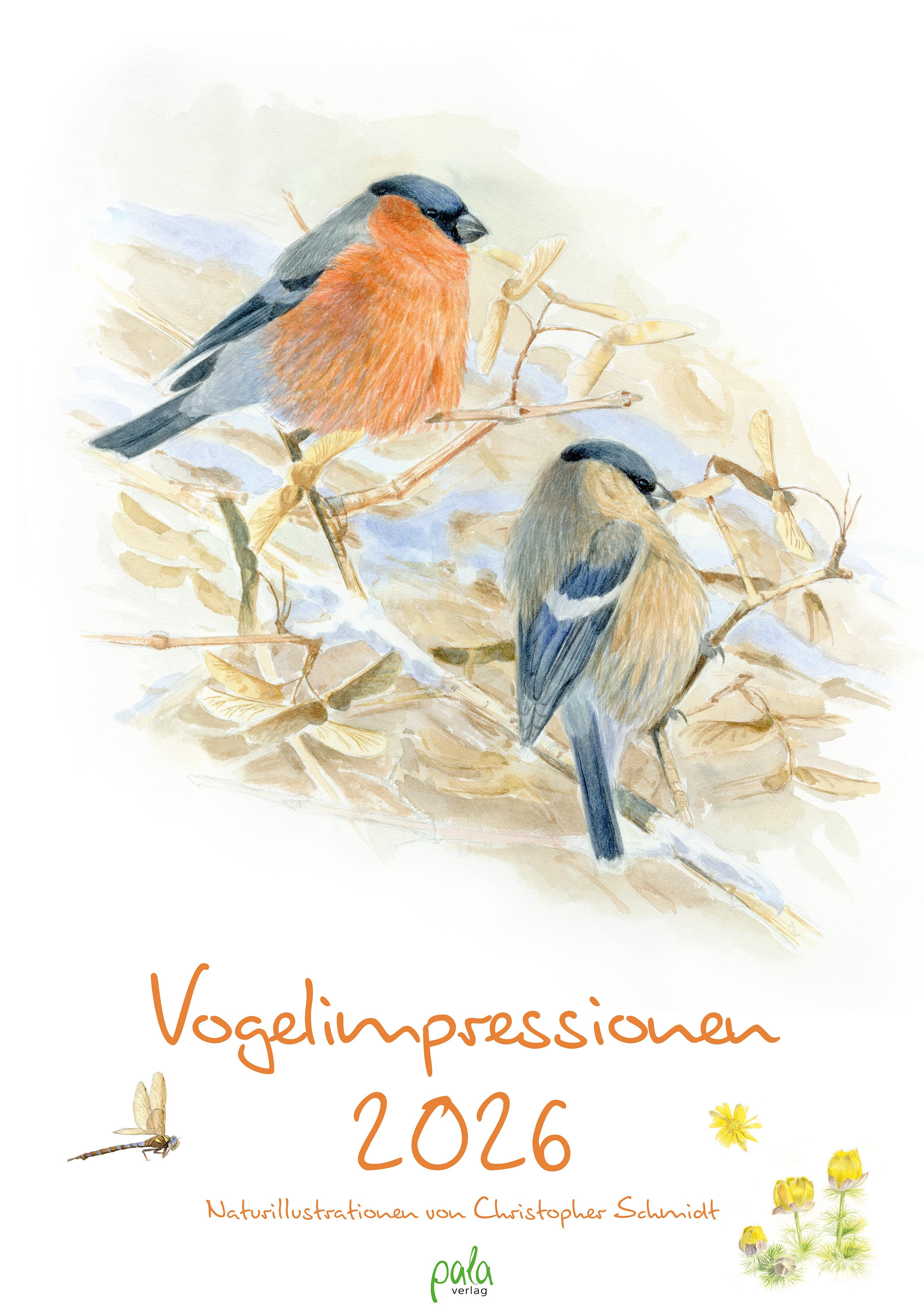 Vorderes Coverbild Vogelimpressionen 2026