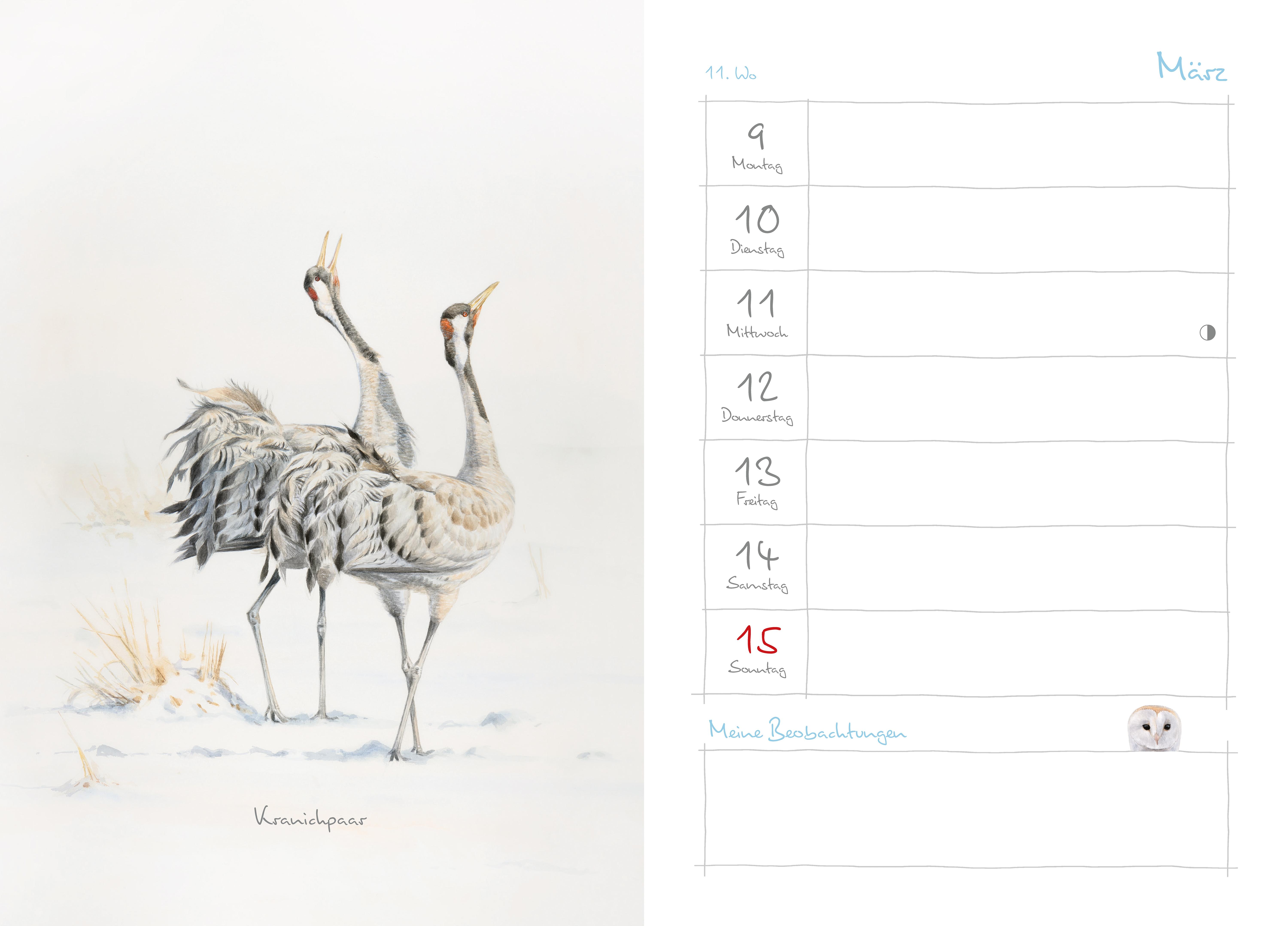 Beispielinhalt (Bild) Mein Naturkalender 2026