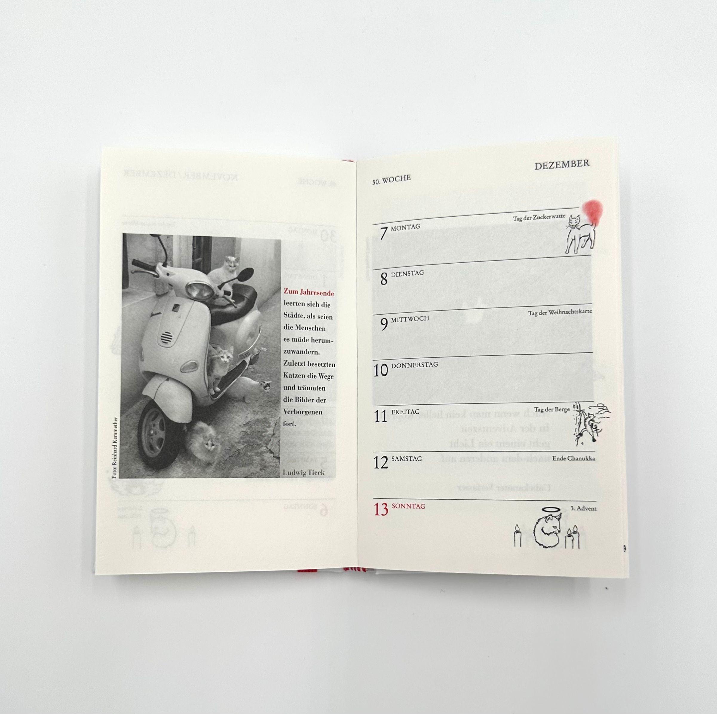 Beispielinhalt (Bild) Katzen Taschenkalender 2026