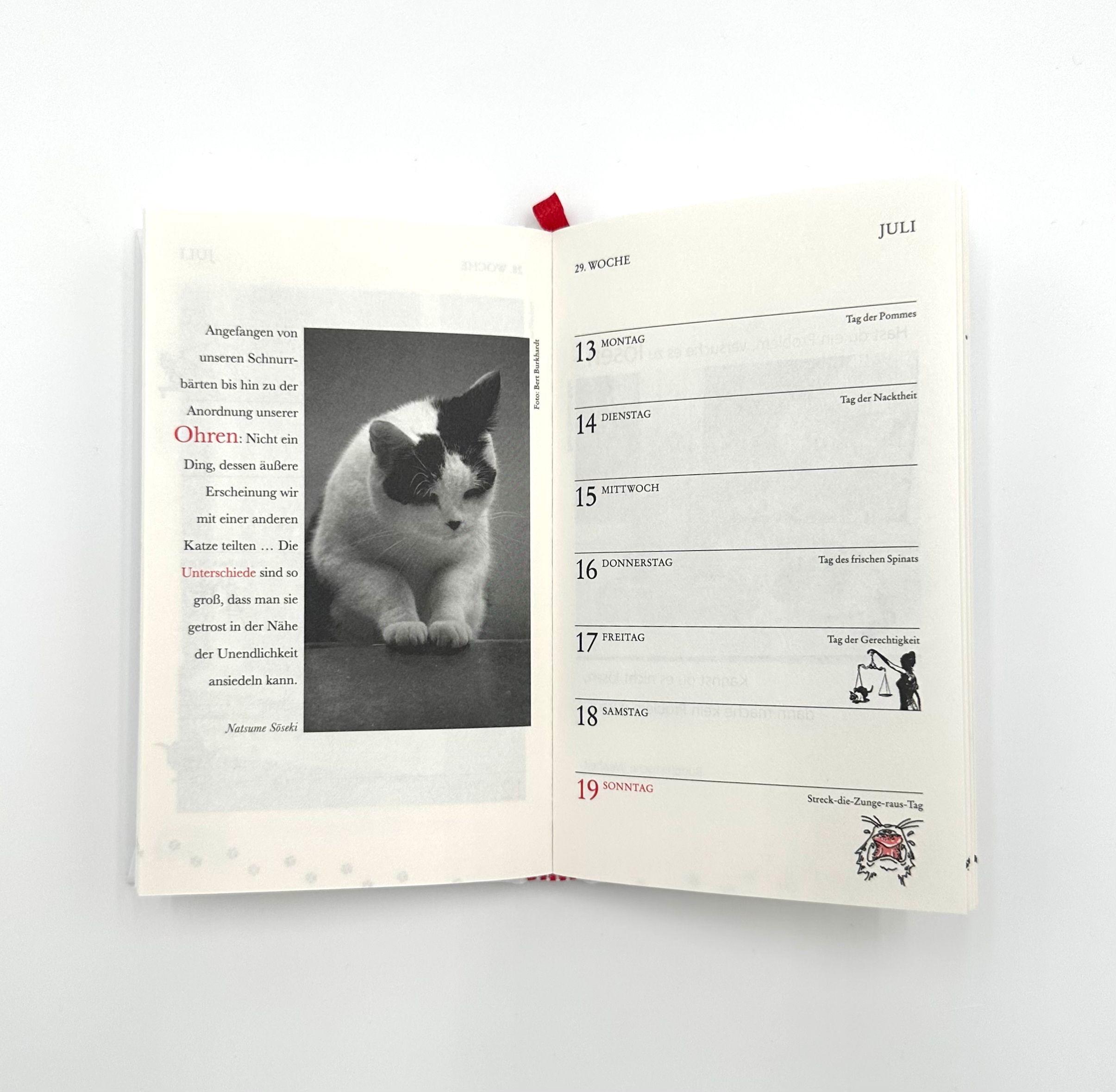 Beispielinhalt (Bild) Katzen Taschenkalender 2026