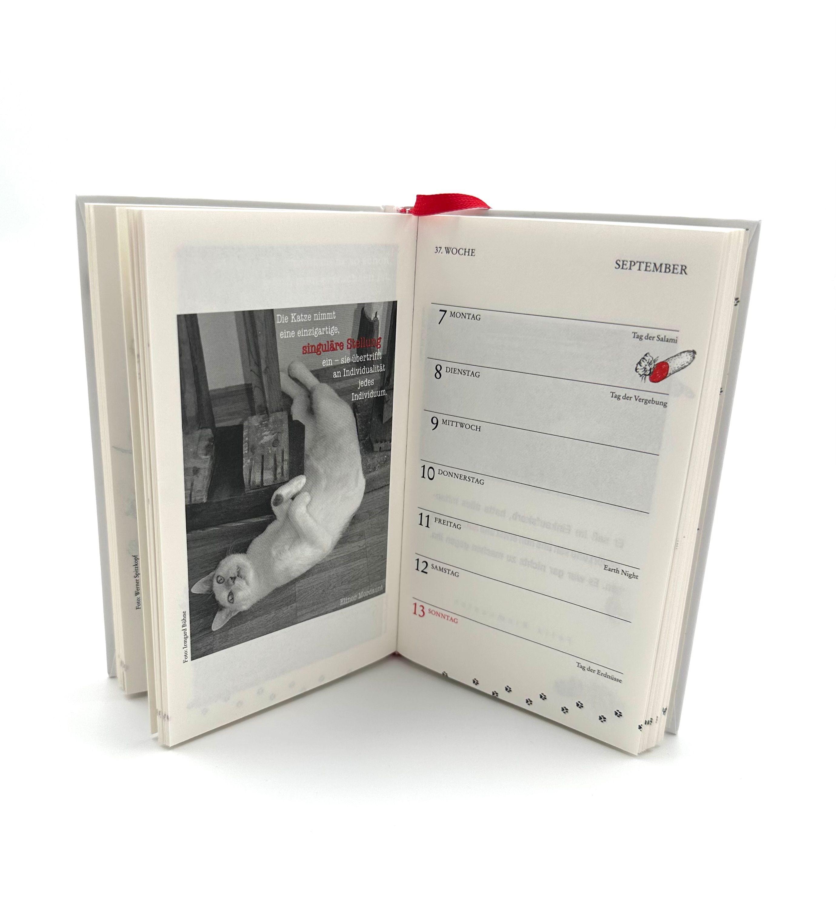 Beispielinhalt (Bild) Katzen Taschenkalender 2026