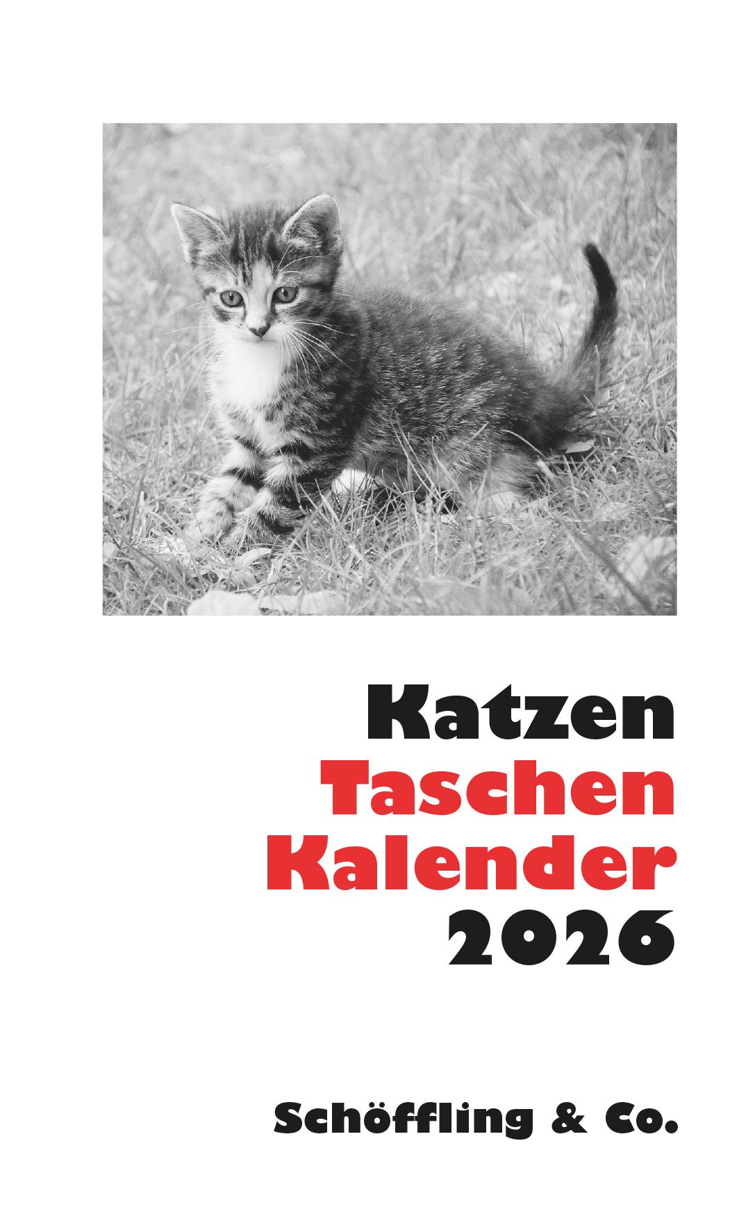 Vorderes Coverbild Katzen Taschenkalender 2026
