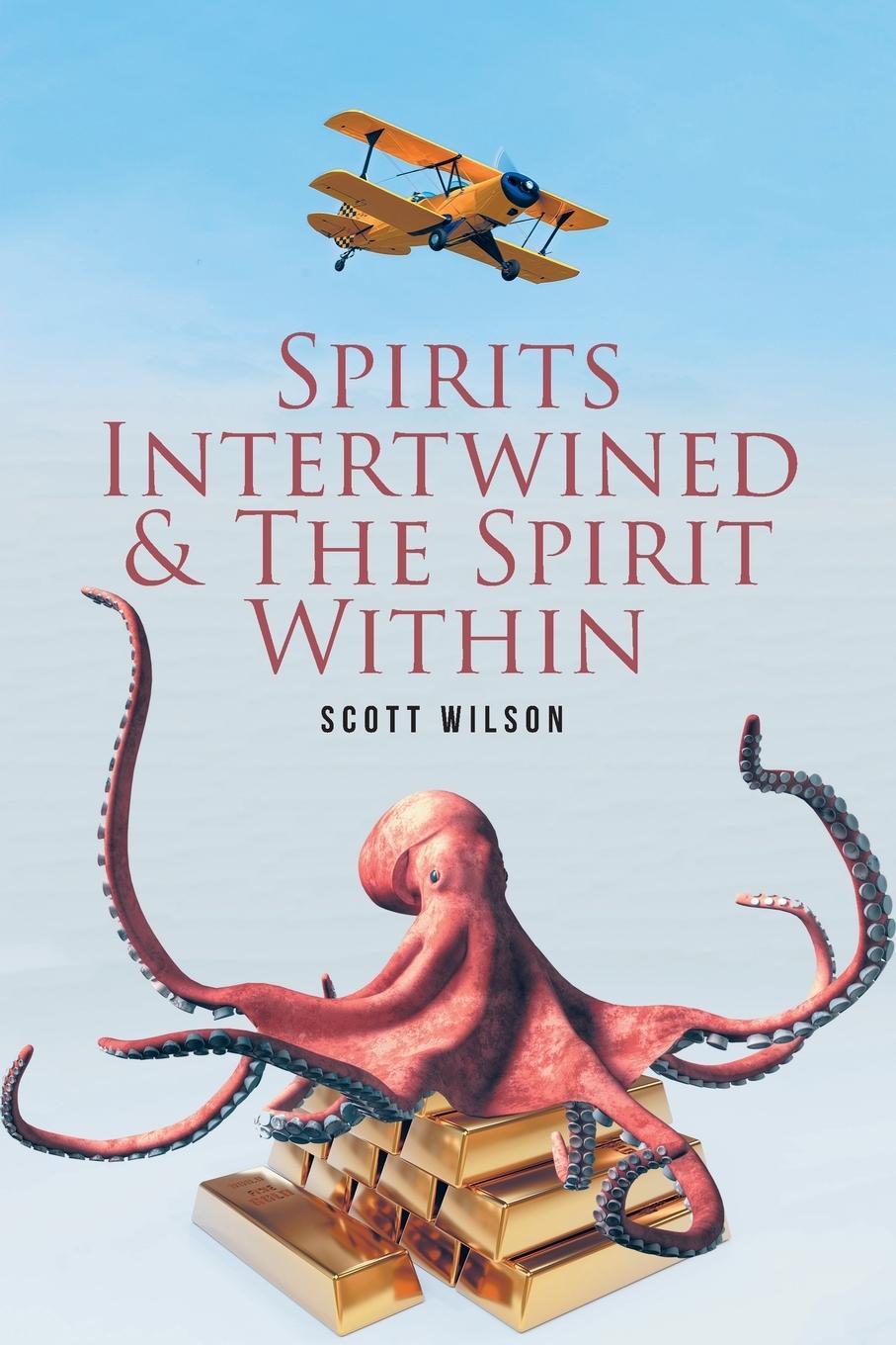 Vorderes Coverbild Spirits Intertwined and The Spirit Within