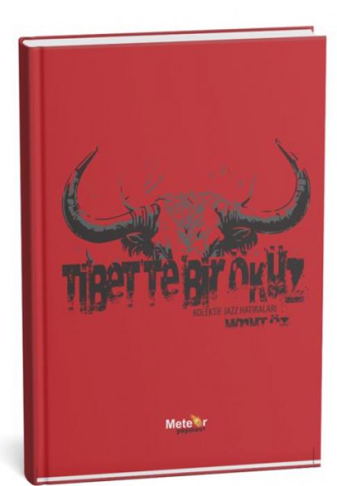 Vorderes Coverbild Tibette Bir Öküz