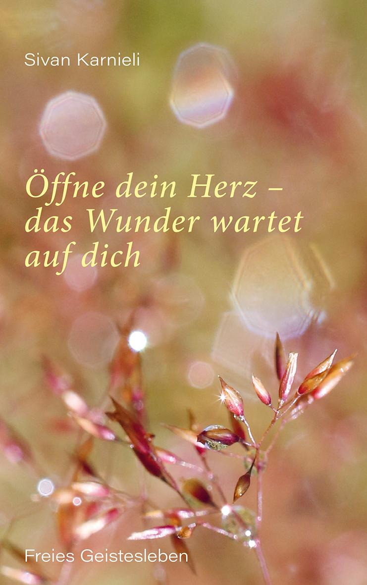 Vorderes Coverbild Öffne dein Herz - das Wunder wartet auf dich