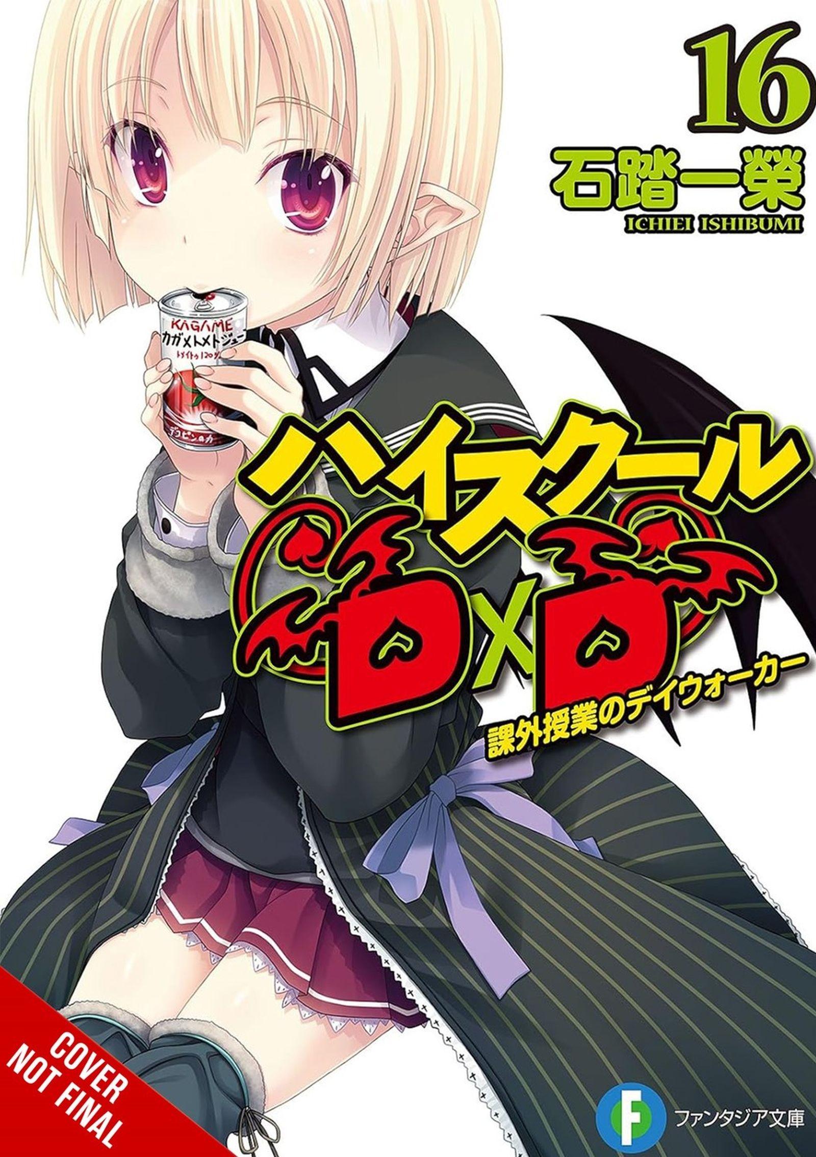 Vorderes Coverbild High School DXD, Vol. 16 (Light Novel)
