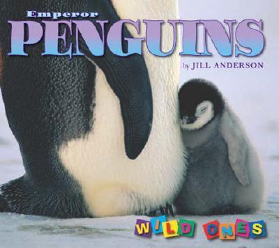 Vorderes Coverbild Emperor Penguins