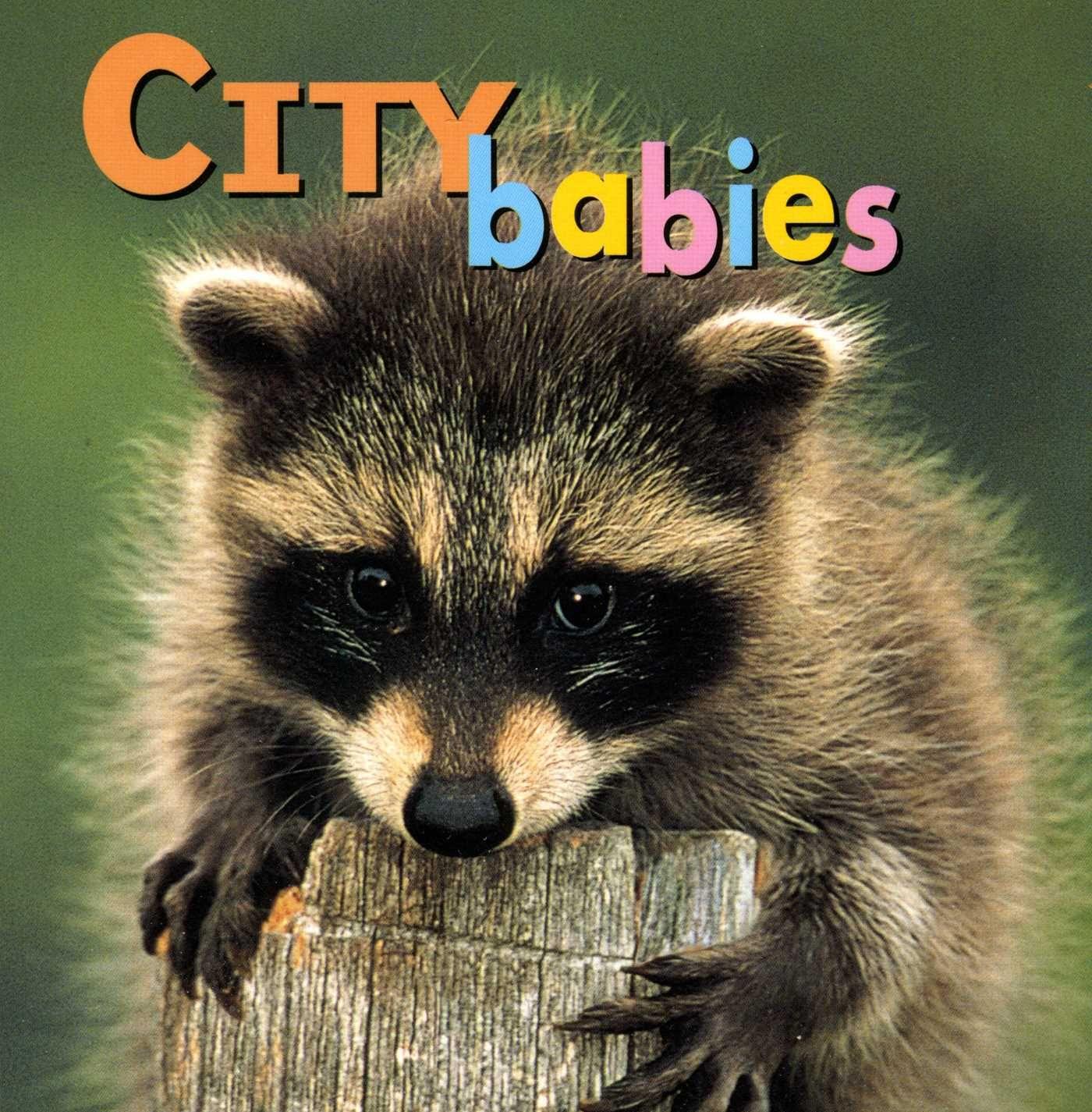 Vorderes Coverbild City Babies