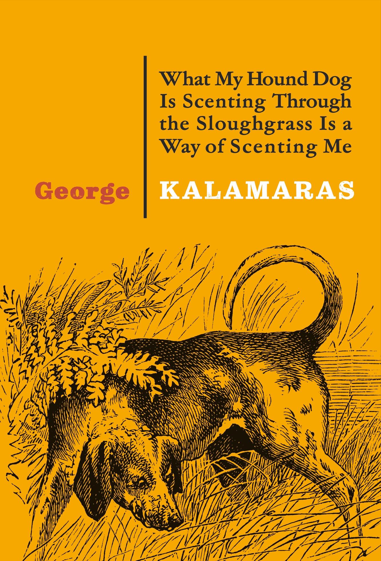 Vorderes Coverbild What My Hound Dog Is Scenting Through the Sloughgrass Is a Way of Scenting Me