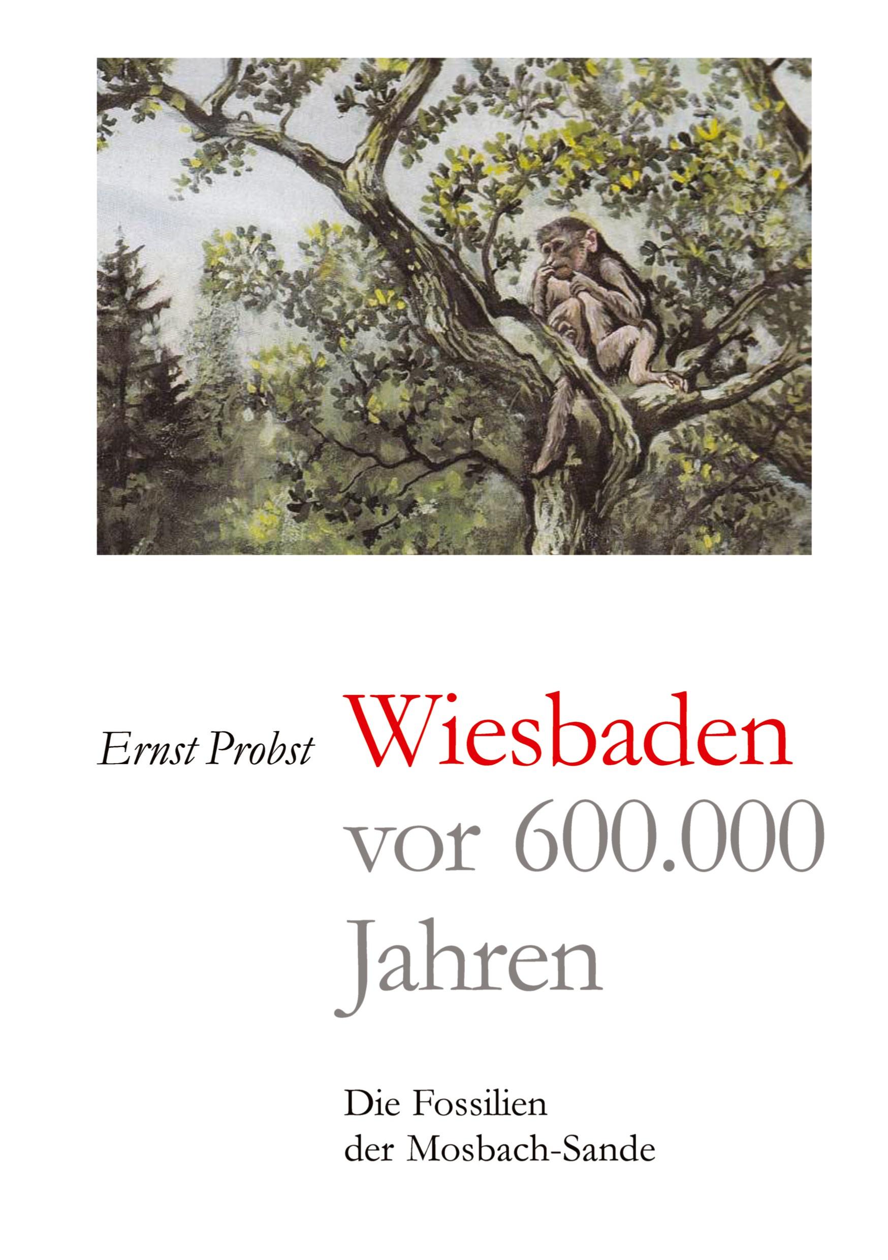 Vorderes Coverbild Wiesbaden vor 600.000 Jahren