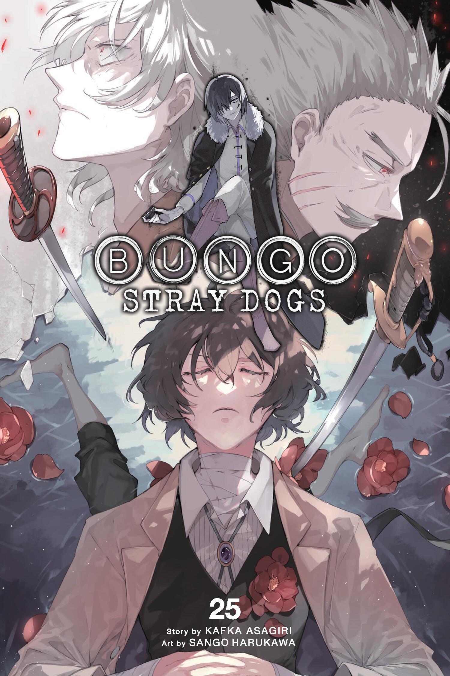 Vorderes Coverbild Bungo Stray Dogs, Vol. 25