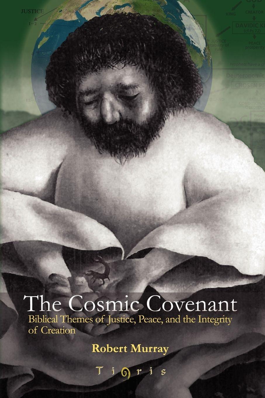 Vorderes Coverbild The Cosmic Covenant