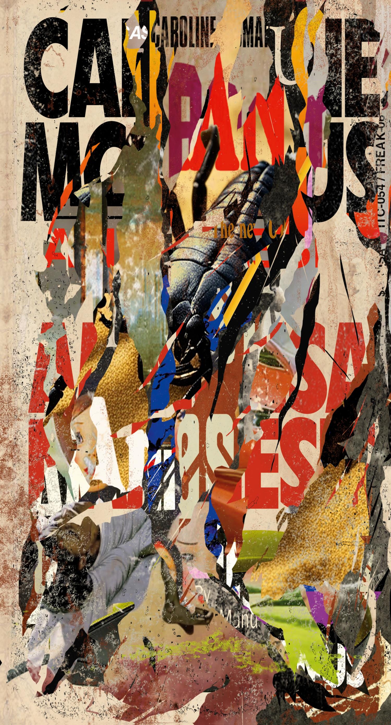 Vorderes Coverbild Anamnesis