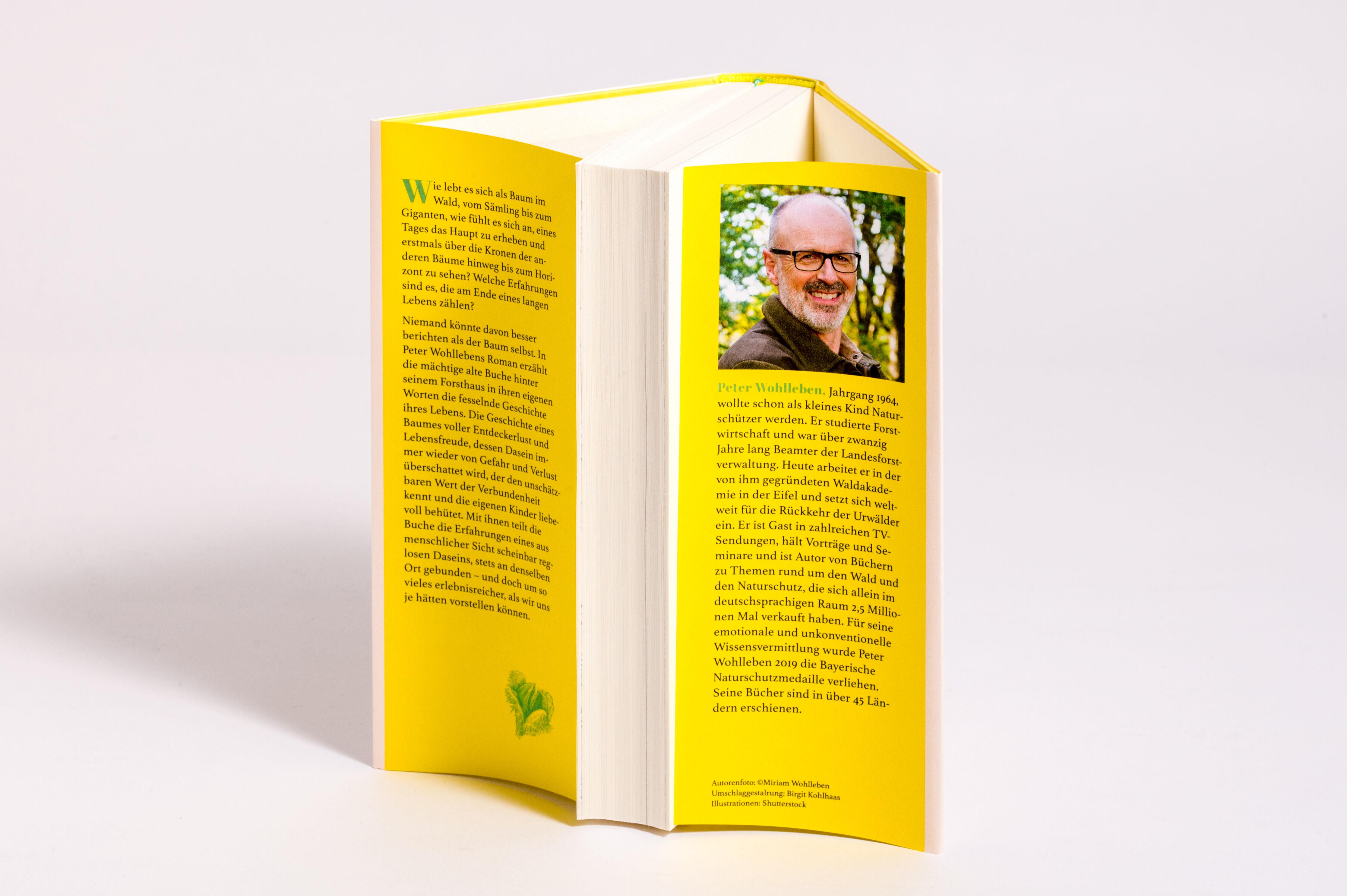 Beispielinhalt (Bild) Sonderedition: Buchenleben