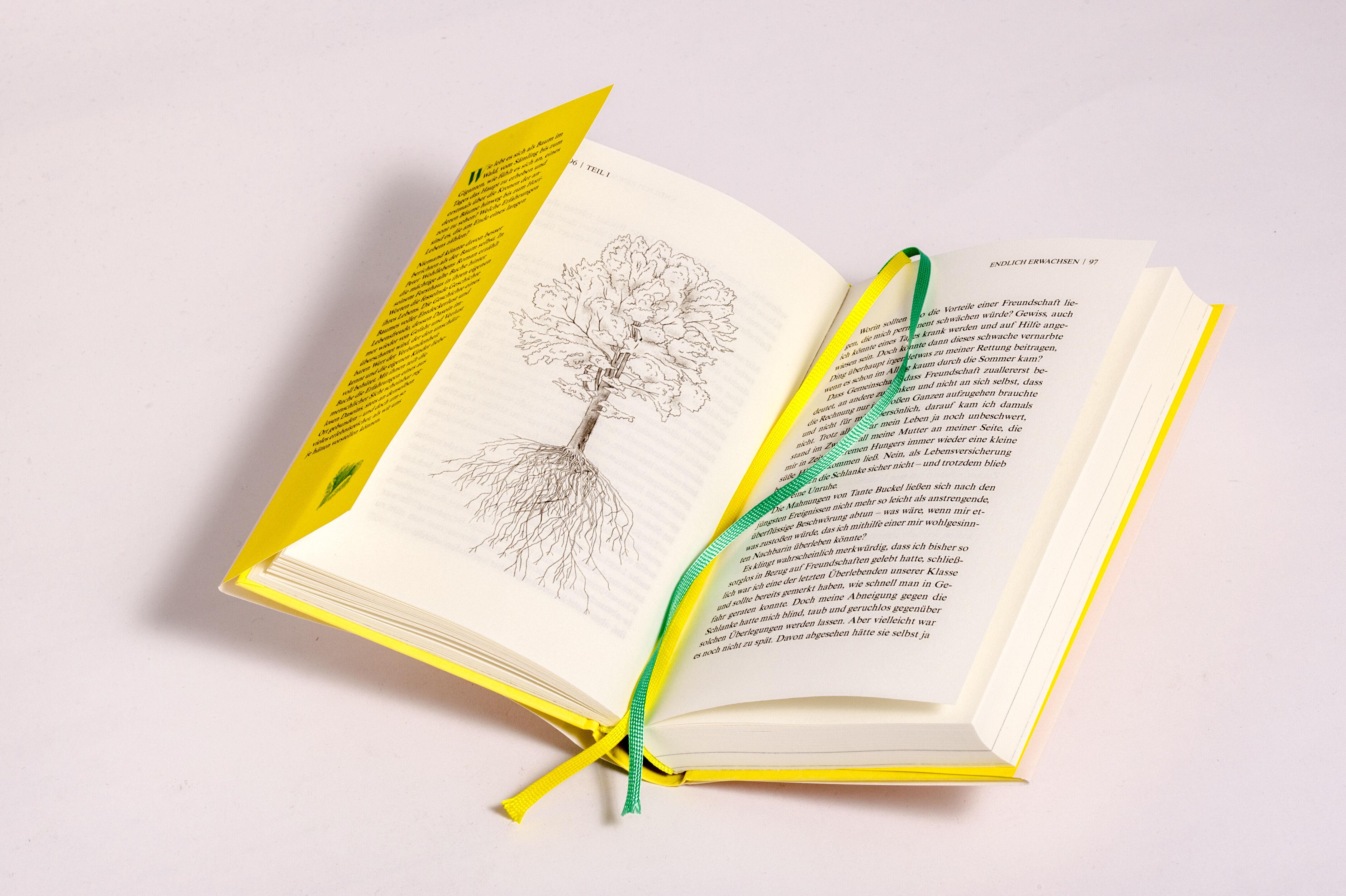 Beispielinhalt (Bild) Sonderedition: Buchenleben