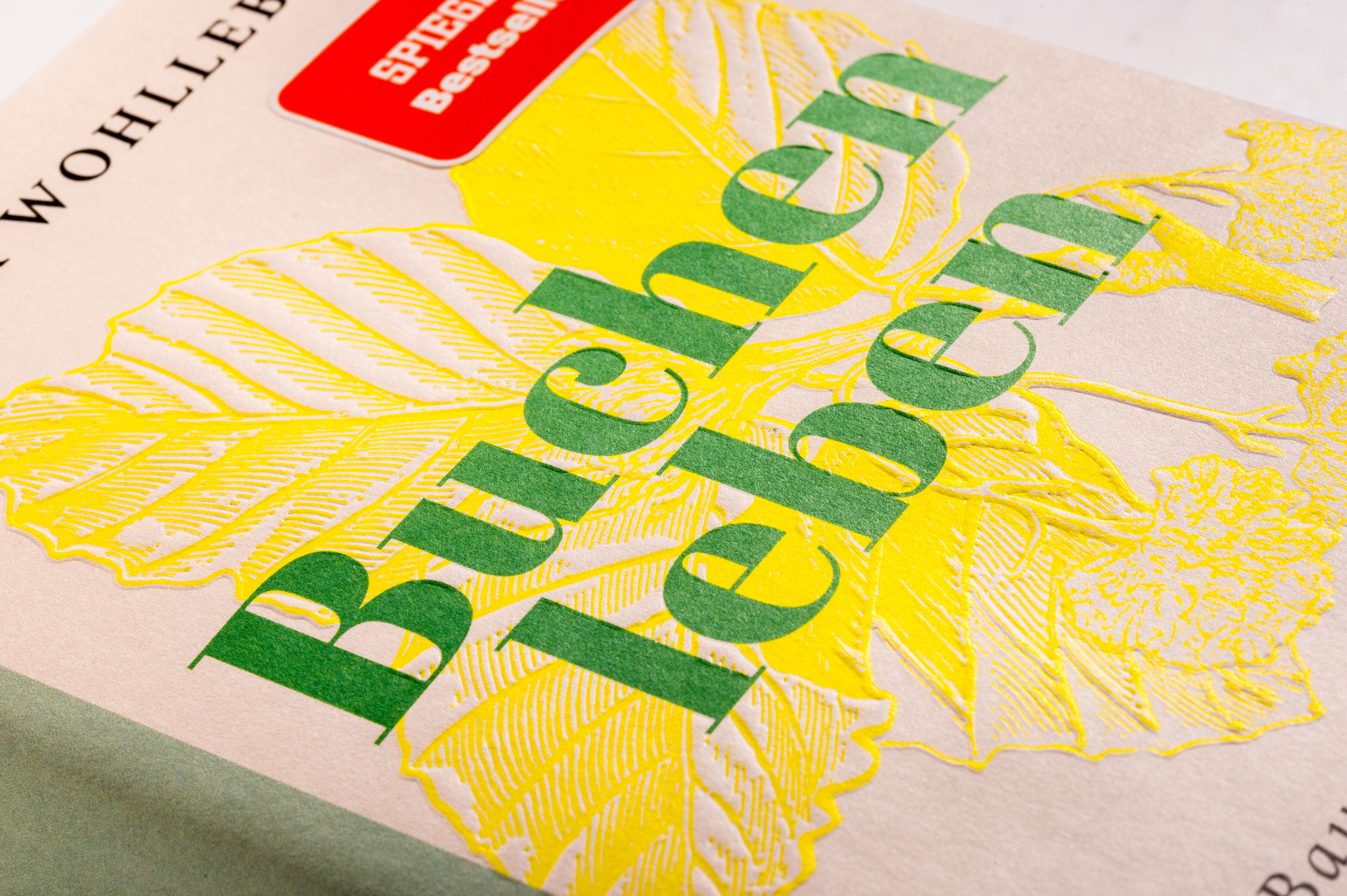 Beispielinhalt (Bild) Sonderedition: Buchenleben