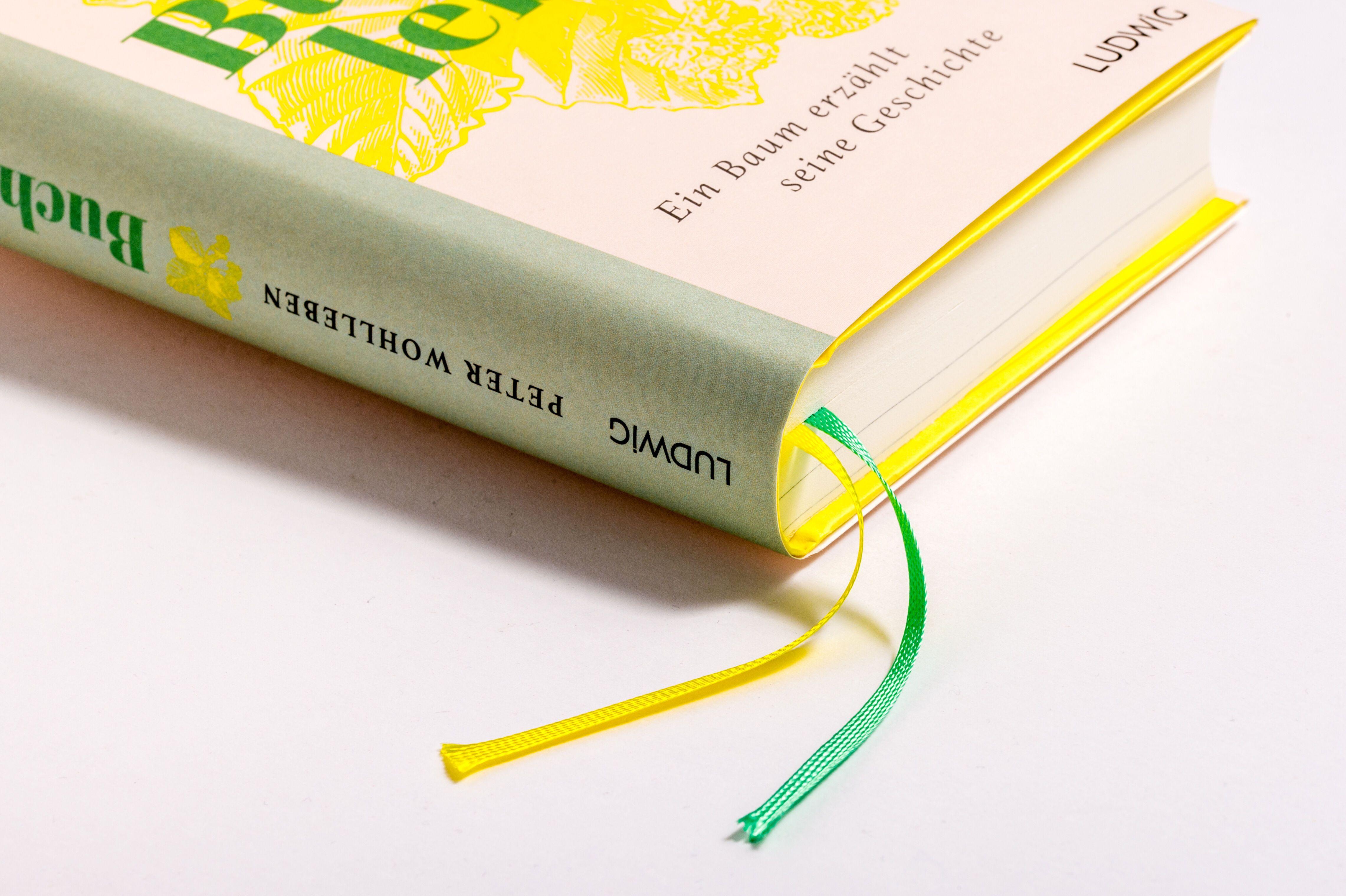 Beispielinhalt (Bild) Sonderedition: Buchenleben