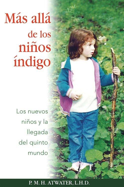 Vorderes Coverbild Más Allá de Los Niños Índigo