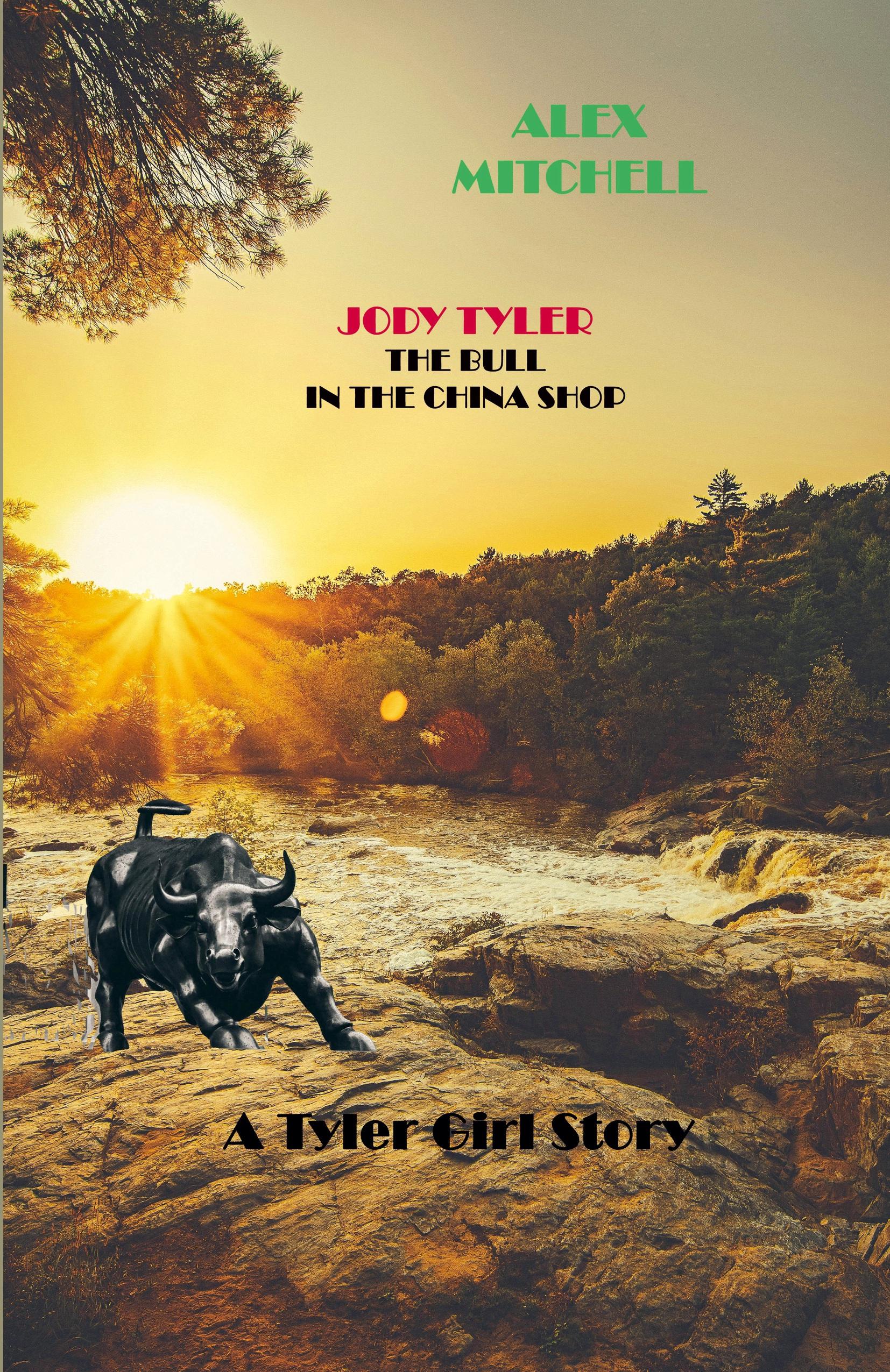 Vorderes Coverbild Jody Tyler The Bull in the China Shop