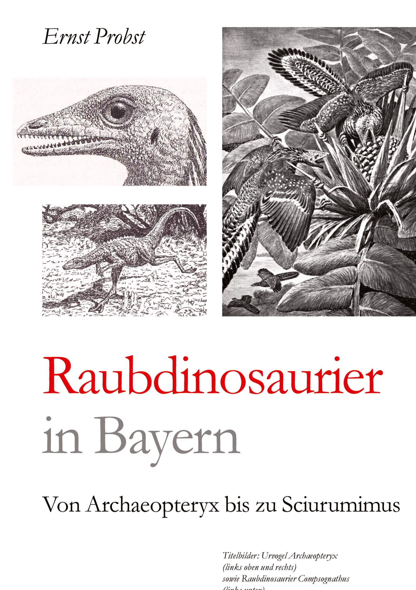 Vorderes Coverbild Raubdinosaurier in Bayern
