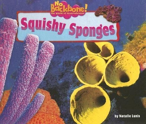 Vorderes Coverbild Squishy Sponges