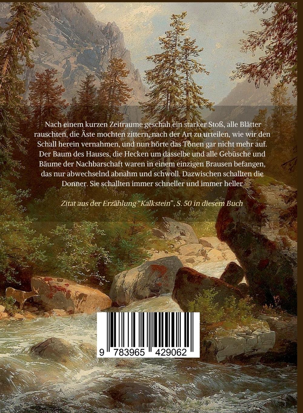 Rückseitencover Adalbert Stifter: Bunte Steine. Erzählungen. Vollständige Neuausgabe