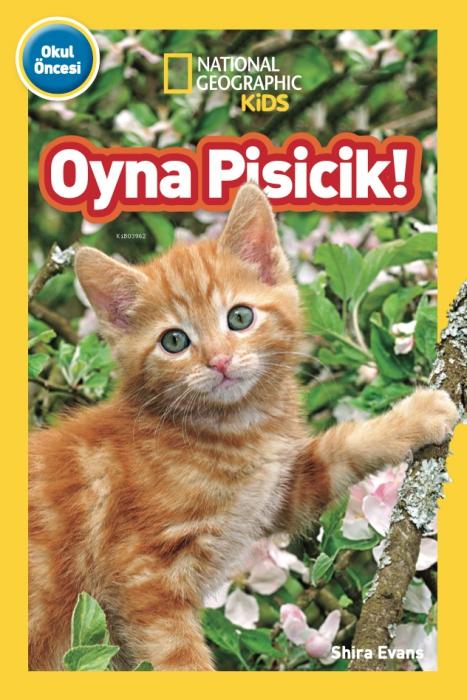 Vorderes Coverbild Oyna Pisicik