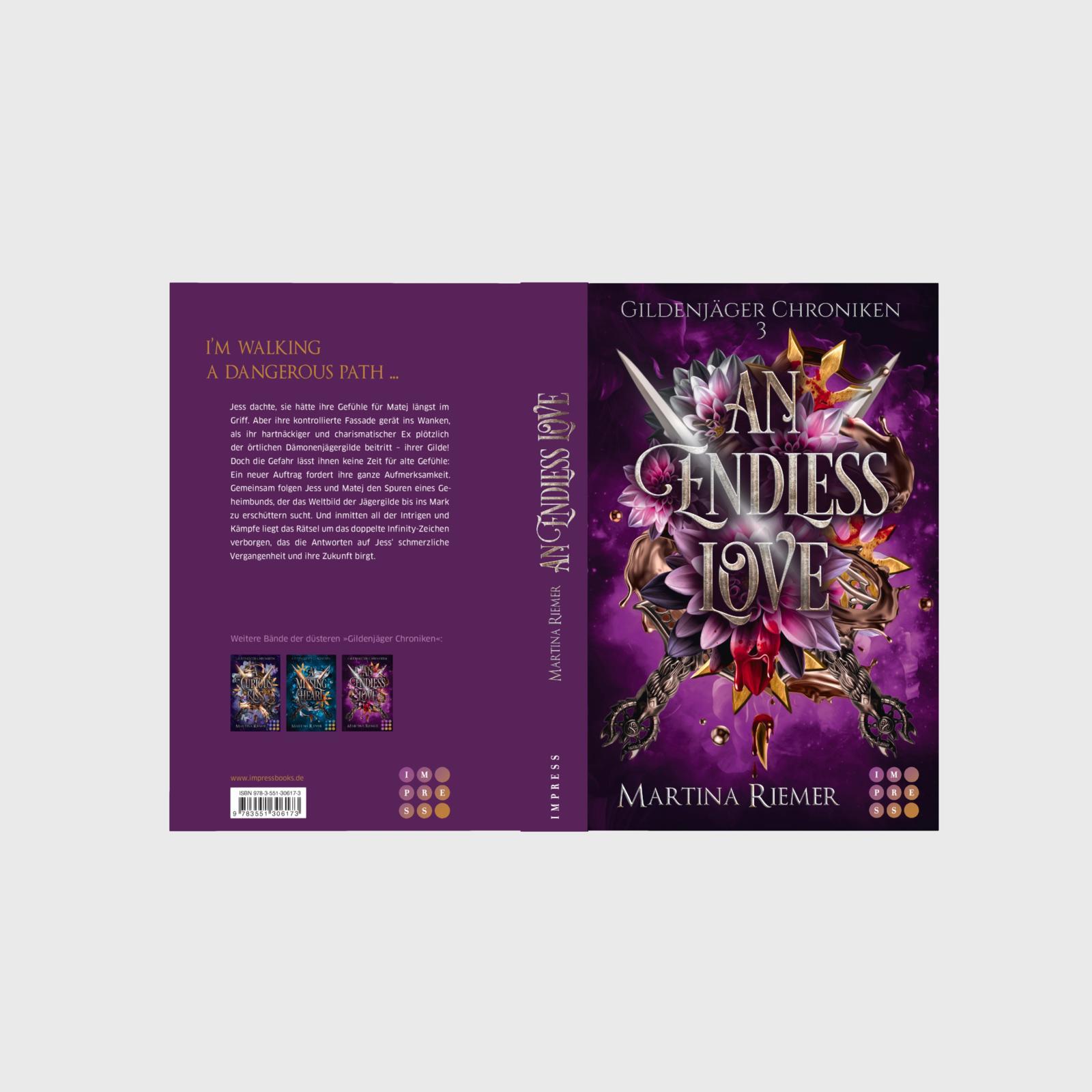 Beispielinhalt (Bild) An Endless Love (Gildenjäger Chroniken 3)