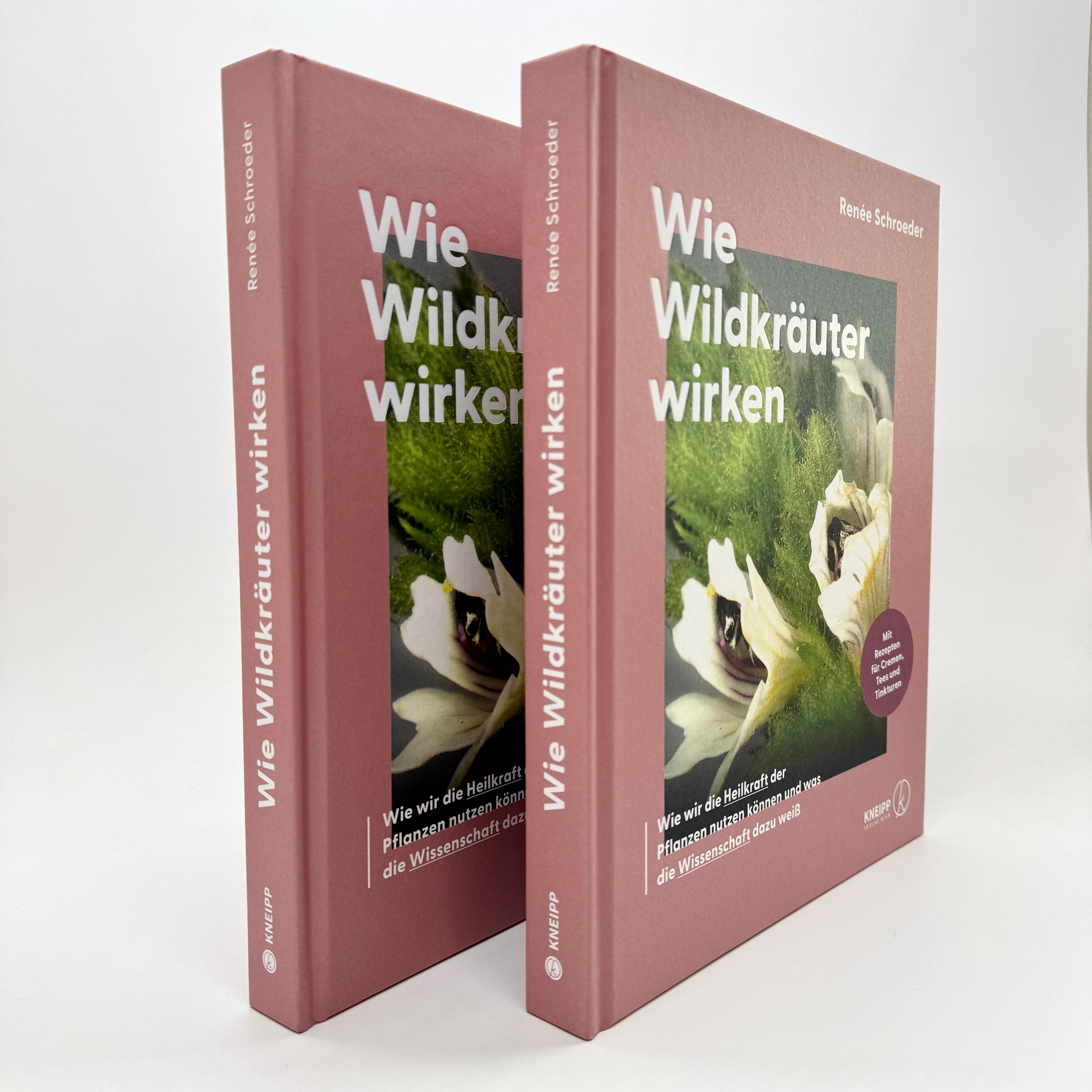 Beispielinhalt (Bild) Wie Wildkräuter wirken