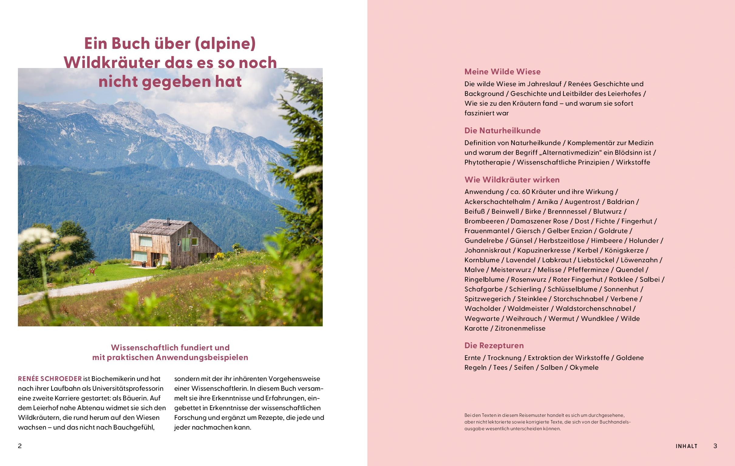 Beispielinhalt (Bild) Wie Wildkräuter wirken