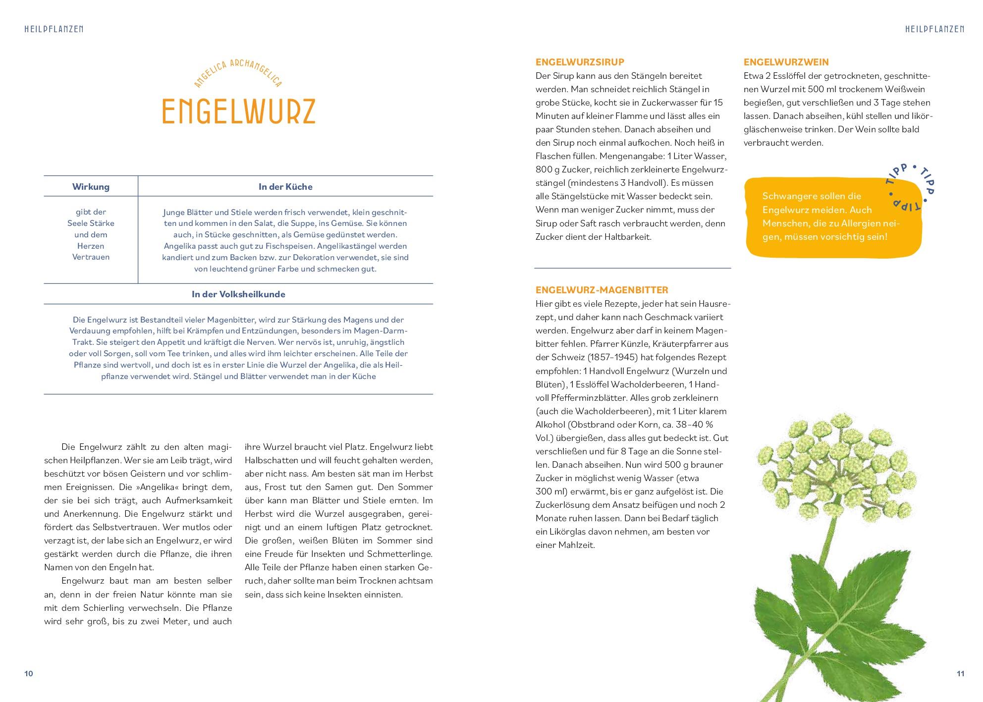 Beispielinhalt (Bild) Kräutermedizin für die Seele