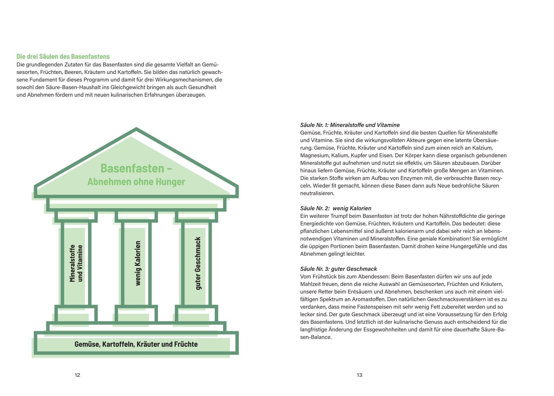 Beispielinhalt (Bild) Basenfasten to go