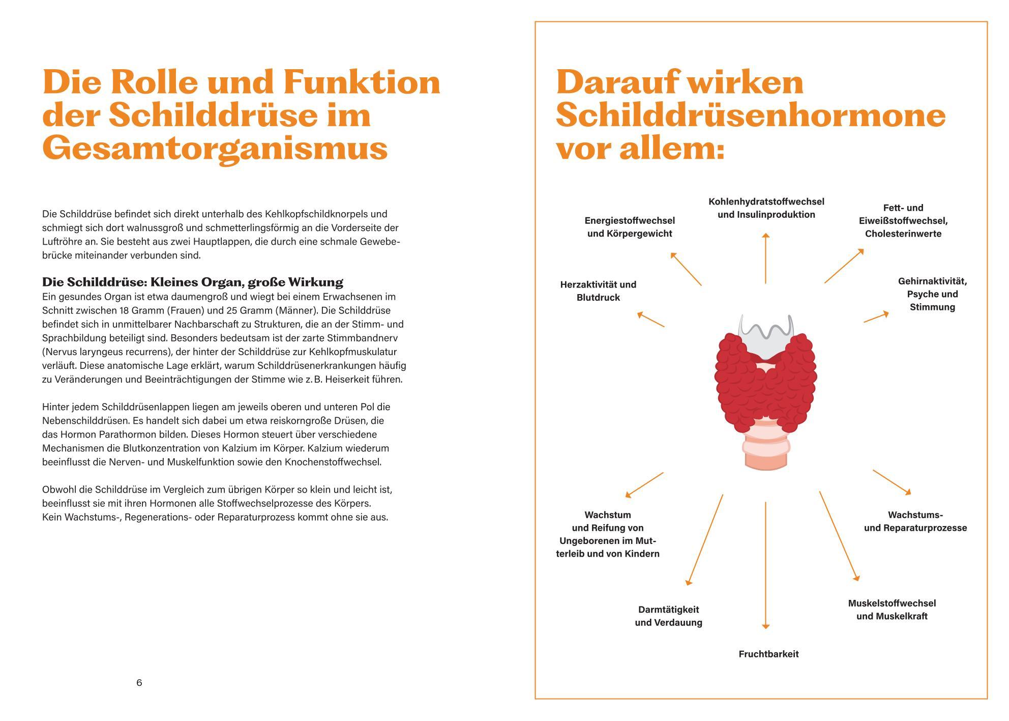 Beispielinhalt (Bild) Soforthilfe bei Schilddrüsenunterfunktion und Hashimoto