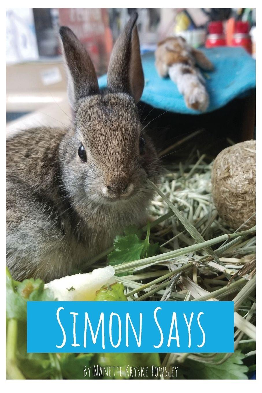 Vorderes Coverbild Simon Says