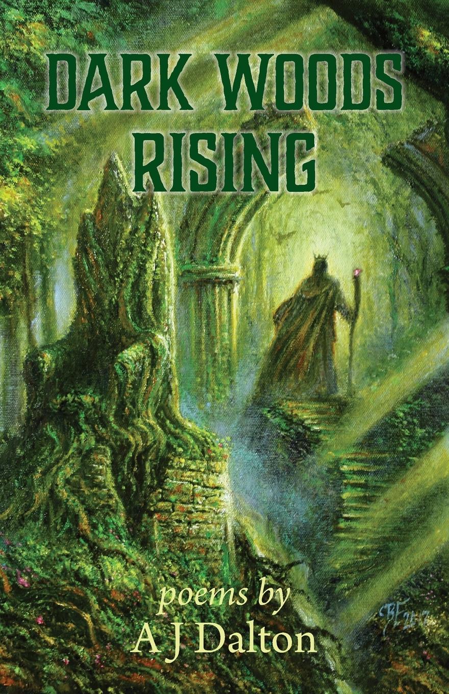 Vorderes Coverbild Dark Woods Rising