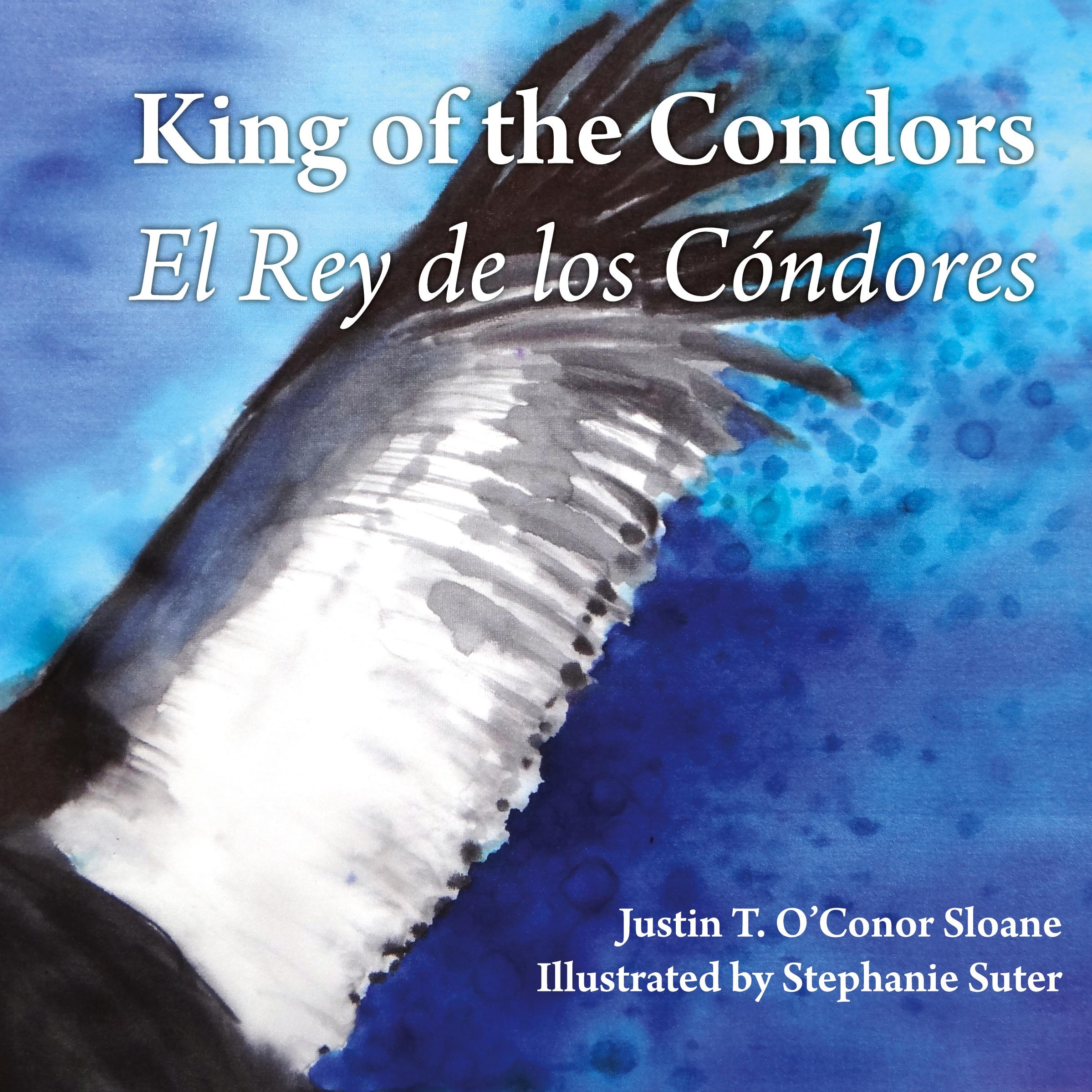 Vorderes Coverbild King of the Condors