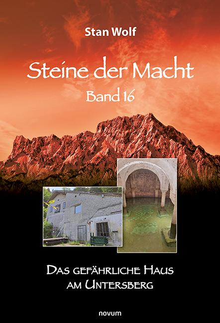 Vorderes Coverbild Steine der Macht - Band 16